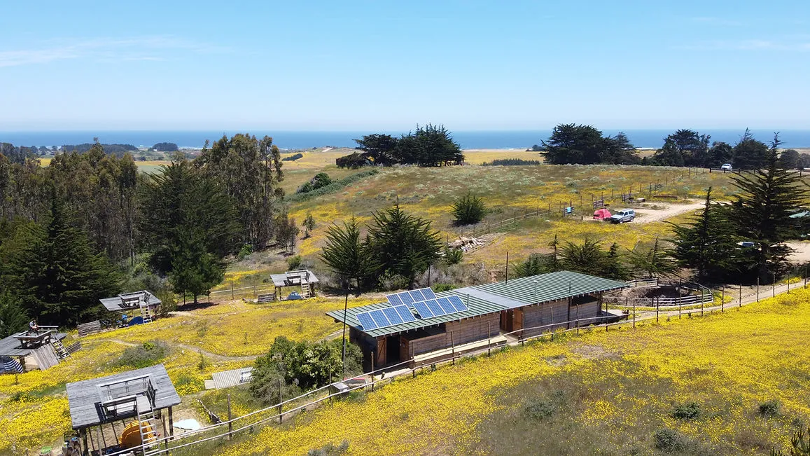 Olas de Chile Ecocamp
